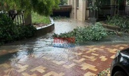 莆田小区最新爆料,揭秘神秘事件背后的真相