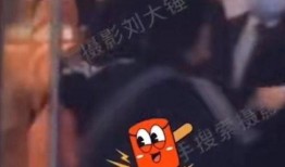 最新刘大锤爆料新闻,揭秘娱乐圈惊人内幕