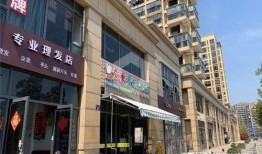 虹桥新苑最新爆料,揭秘神秘豪宅背后的故事